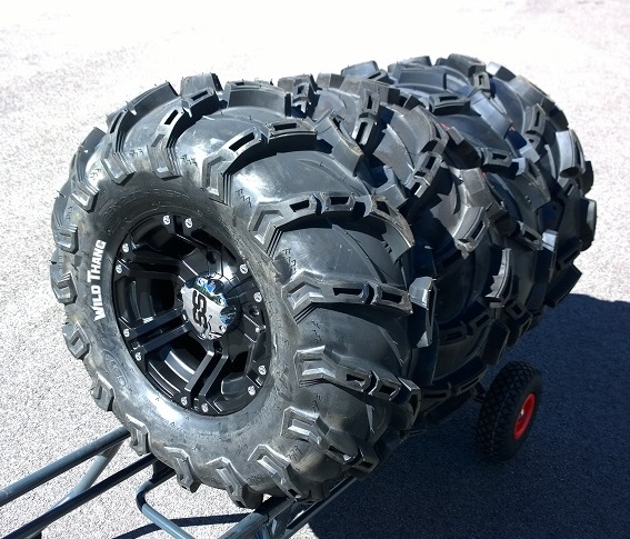 CST Wild Thang 25x8.00-12 / 25x10.00-12 rengassarja